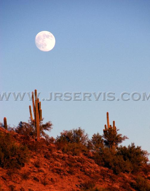 Hunter's Moon.jpg - Hunter's Moon over the Big Sandy